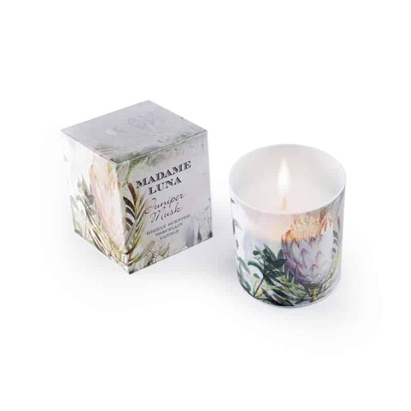 Botanical Porcelain Candle Juniper Musk Protea