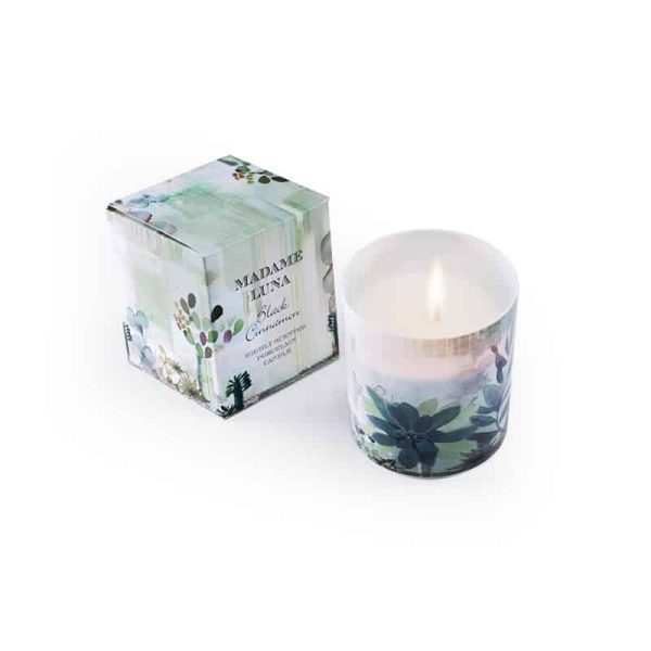 Botanical Porcelain Candle Black Cinnamon Succulent