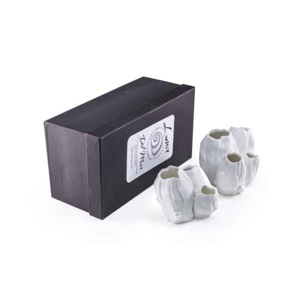 Barnacle Cluster of 3 and 4