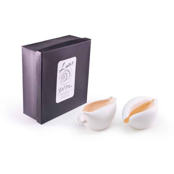 Cowrie Creamer & Sugar Set - Coral