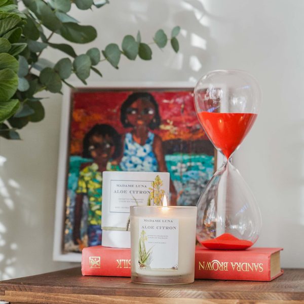 Succulent Aloe Citron