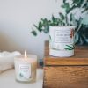 Succulent Aloe Oud