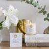 Classic Signature Gold Stamp Minted Jasmine