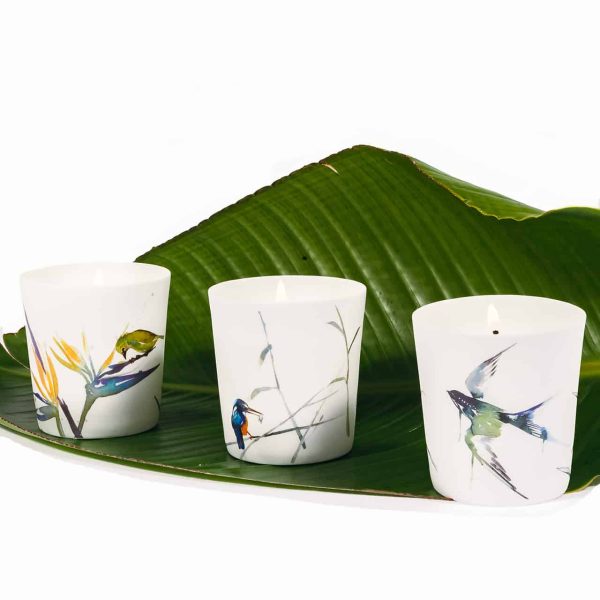 3-birds-white-background-1.jpg Set of 3 Porcelain Bird Votives in organza bags