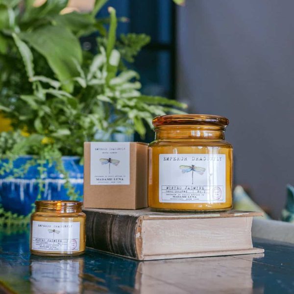 Amber Jar Large Emperor Dragonfly