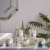 Botanical Porcelain Candle Black Cinnamon Succulent