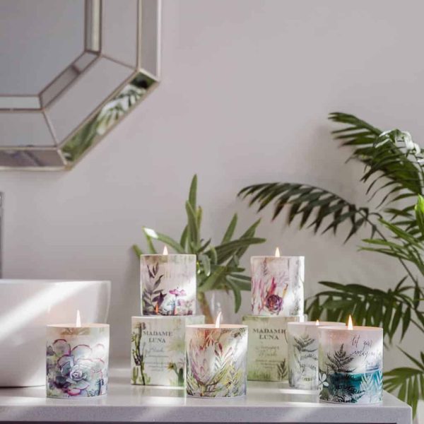 Botanical Porcelain Candle Black Cinnamon Succulent