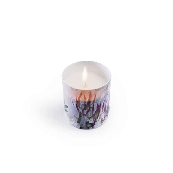 Botanical Porcelain Candle Juniper Musk Fynbos