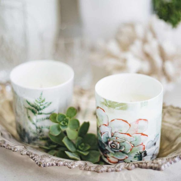 Botanical Porcelain Candle Black Cinnamon Cactus