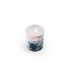 Botanical Porcelain Candle Black Cinnamon Succulent