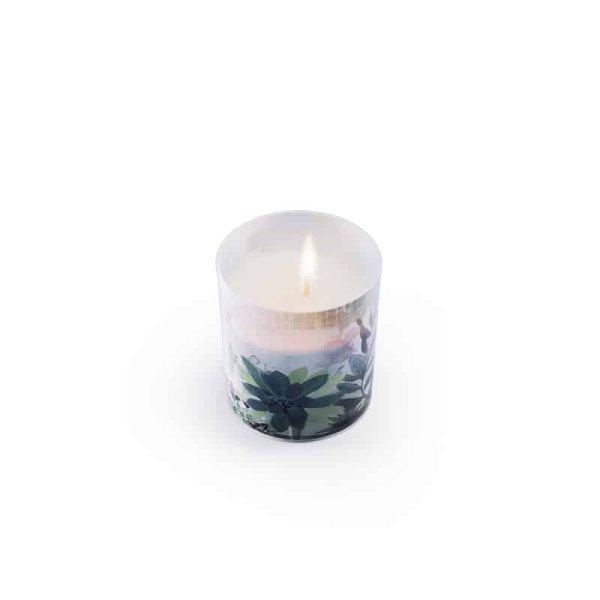 Botanical Porcelain Candle Black Cinnamon Succulent