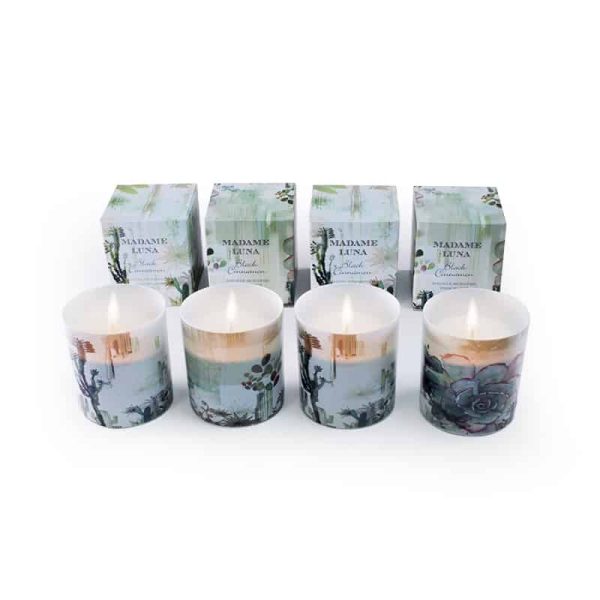 Botanical Porcelain Candle Black Cinnamon Cactus