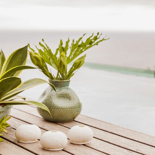 Urchin T'light set of 3