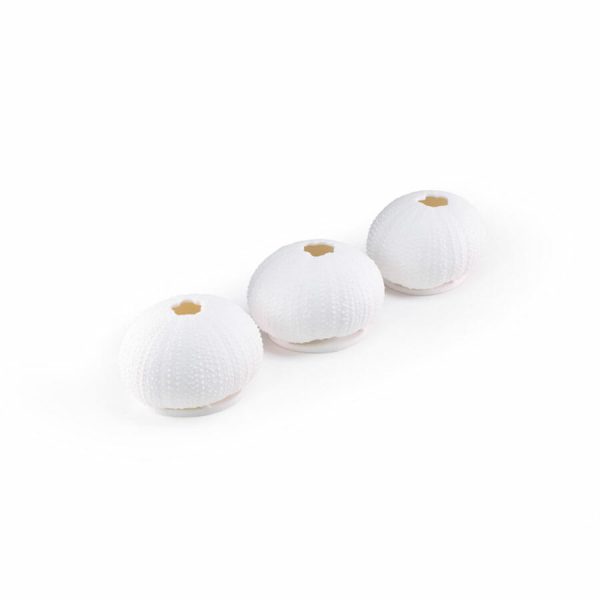 Urchin T'light set of 3