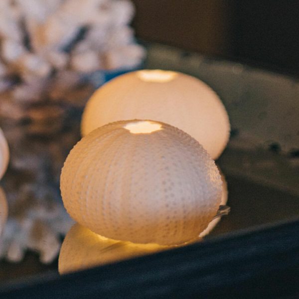 Urchin T'light set of 3