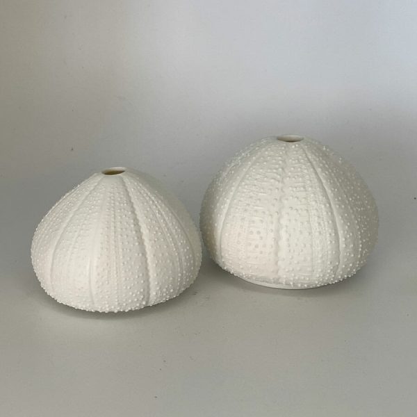 Urchin T'light single