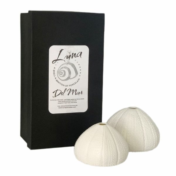 Urchin T'light single