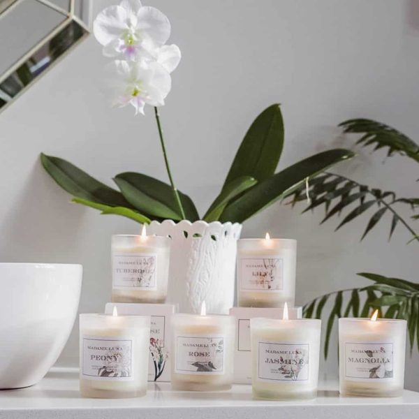 White Classic Flower Tuberose