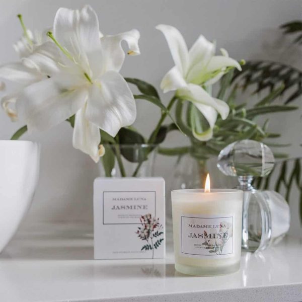 White Classic Flower Jasmine