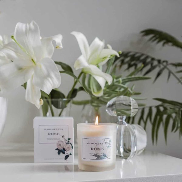 White Classic Flower Rose