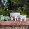 Zebra Small Bowl