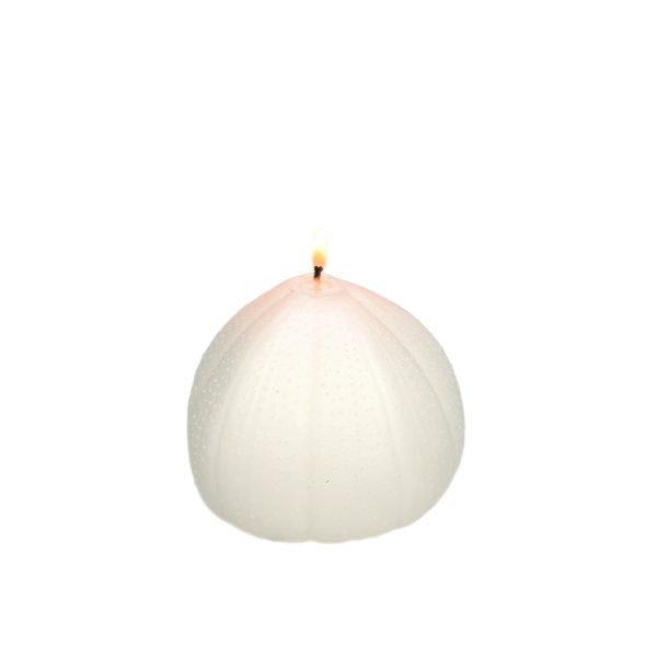 Urchin Medium Candle ( Set of 4 )